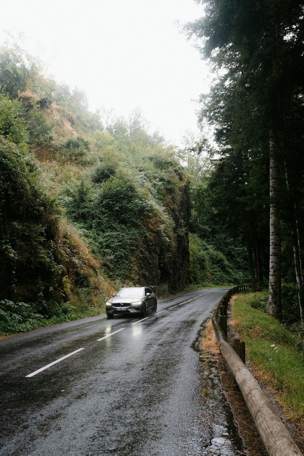 A car on a winding South African road surrounded by trees